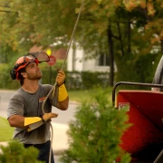 Jardinier professionnel en train de planter des arbres.
